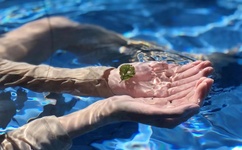 2014广场舞大全视频